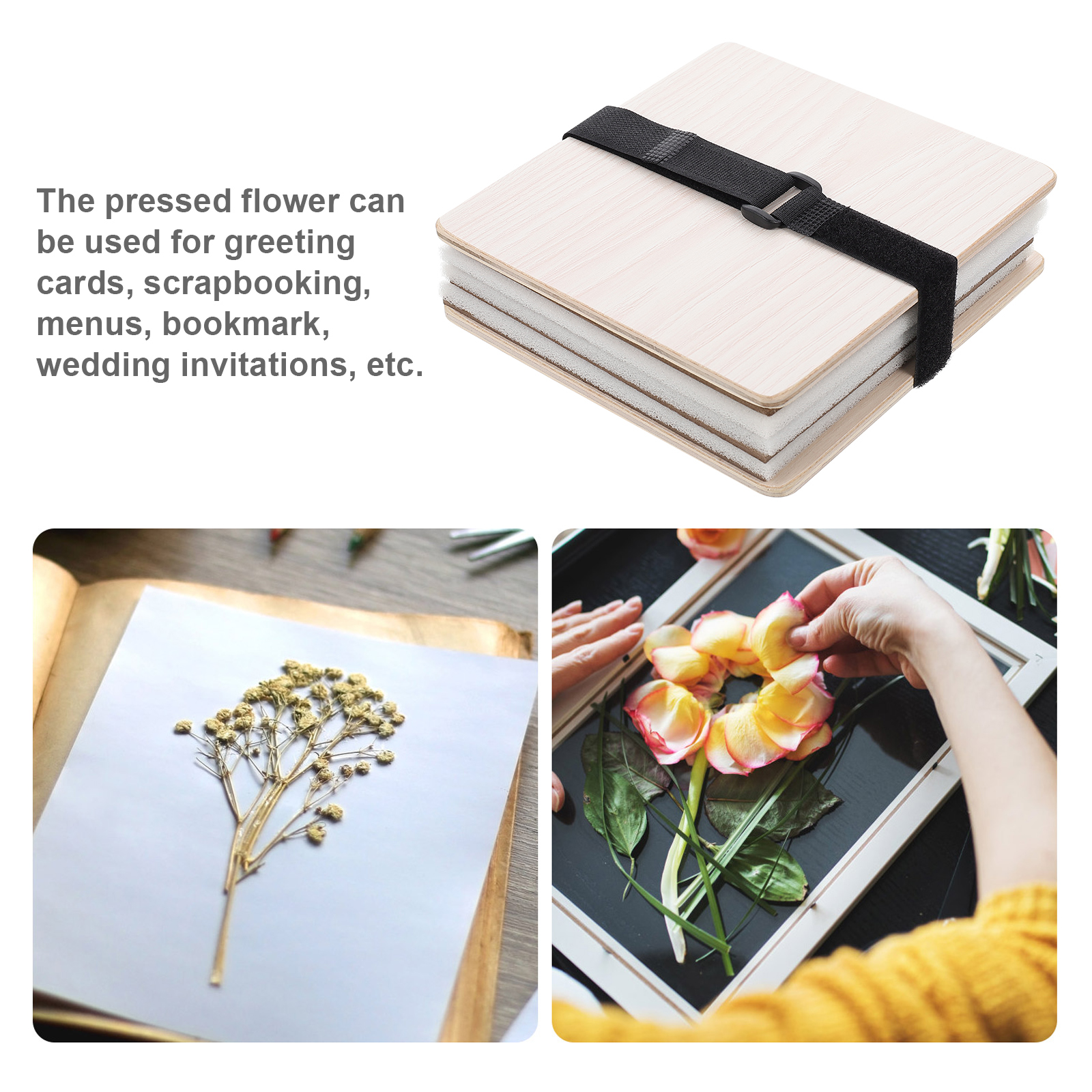 1 set Flower Press Kit Plant L - Ink Blotter Paper のレビューと価格