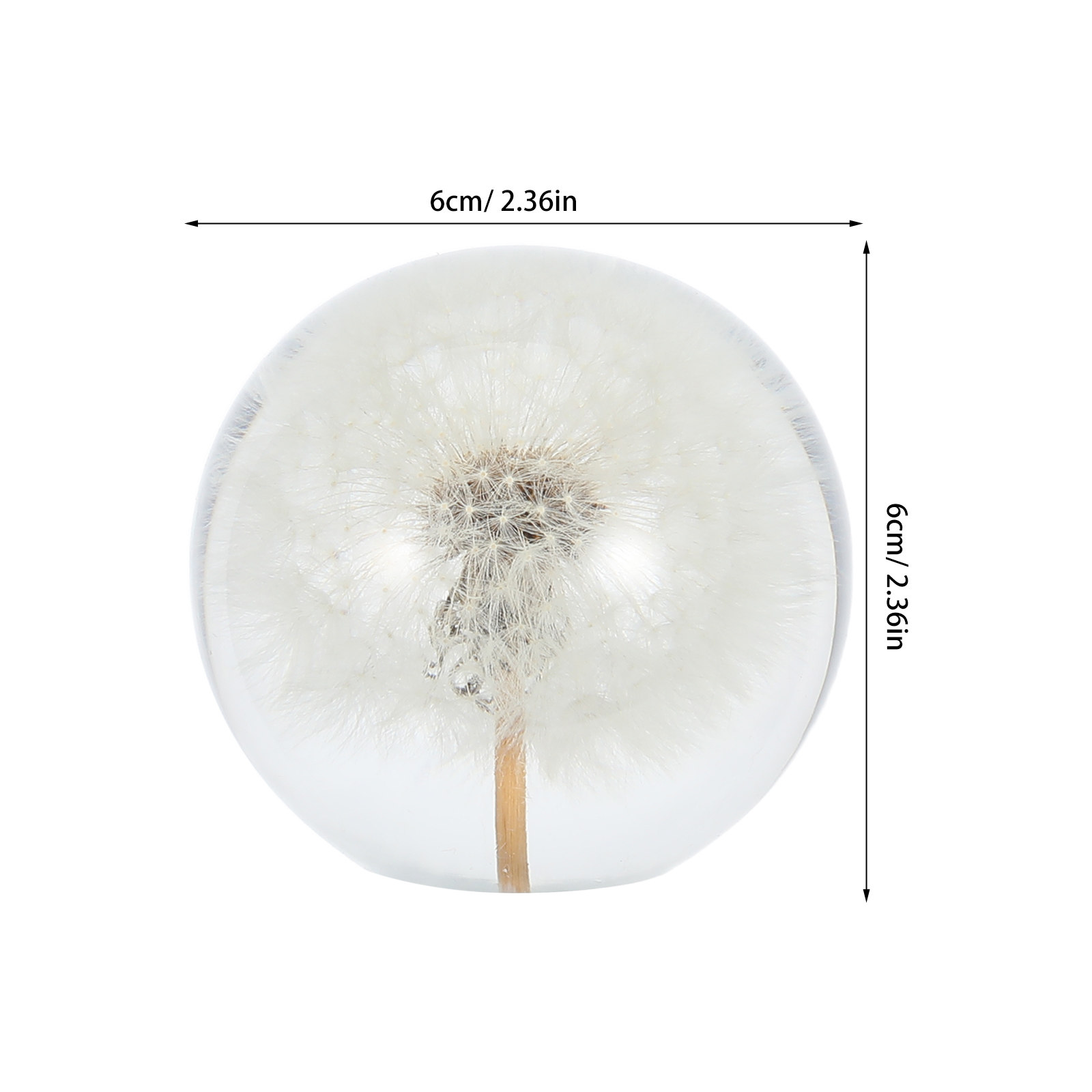Dandelion Crystal Ball Glass S - Paper Weight Crystal のレビューと価格