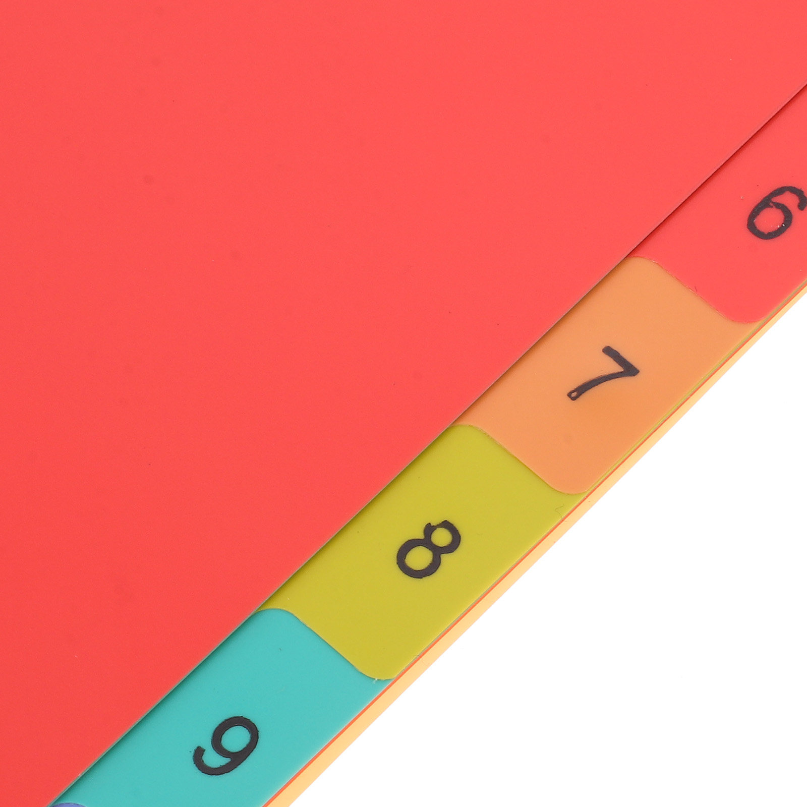 Plastic Binder Dividers A4 Loo - Tab Divider A4 のレビューと価格