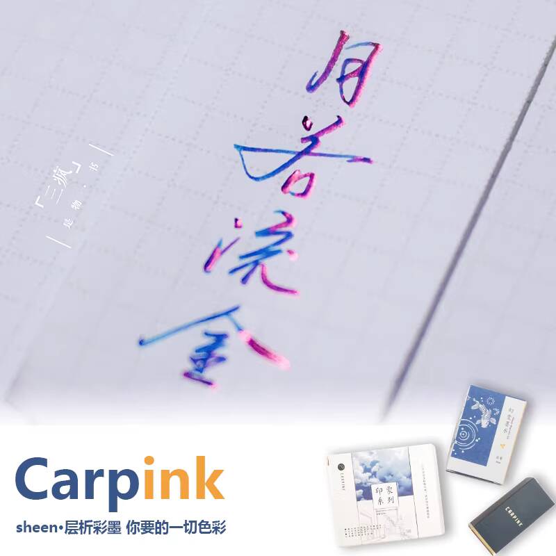 Carpink Non-Carbon Fountain Pe - Fountain Pen Bottled Ink のレビューと価格