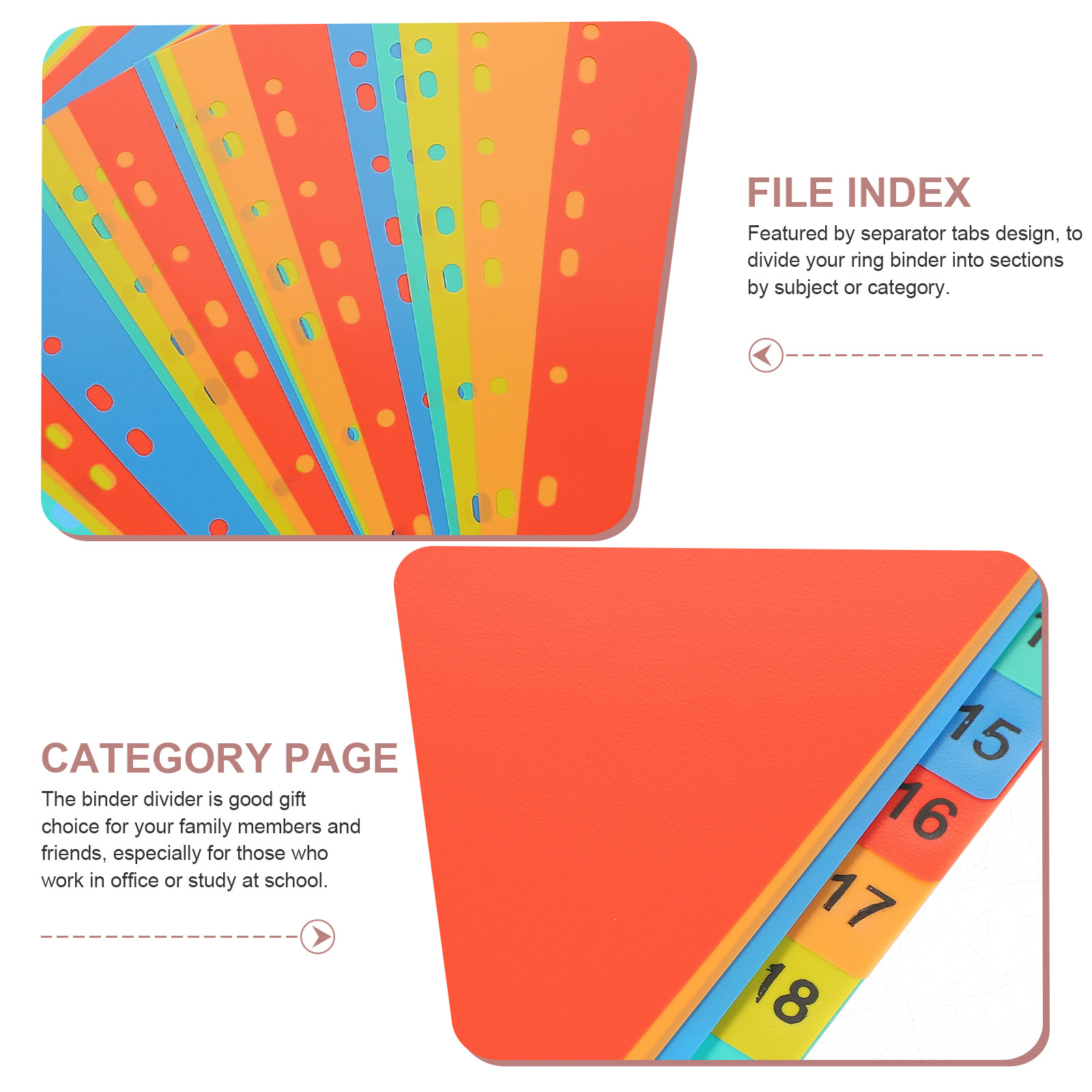 20 Sheets A4 Heavy Duty Binder - Tab Divider A4 のレビューと価格